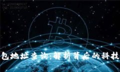 数字钱包地址查询：解析背后的科技与