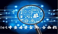 如何在TPWallet中查看资金池：全面指南