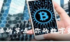 探秘区块链钱包连接的节点：你的数字