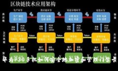 华为P30手机如何安全地加密和管理门禁