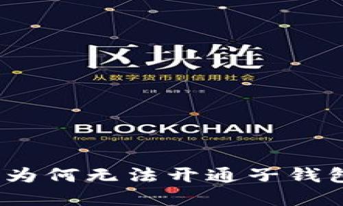 揭秘数字人民币:为何无法开通子钱包及其背后的原因