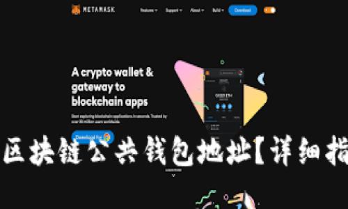 如何找到区块链公共钱包地址?详细指南与技巧
