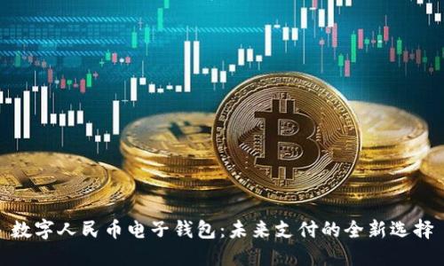 数字人民币电子钱包:未来支付的全新选择