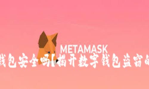 数字钱包安全吗?揭开数字钱包盗窃的真相
