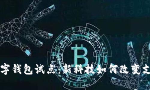 苏州数字钱包试点:新科技如何改变支付方式