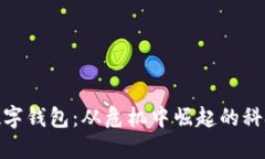 破产后的数字钱包：从危机中崛起的科