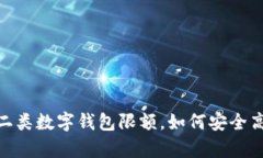 全解析：二类数字钱包限额，如何安全