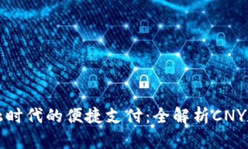开放金融时代的便捷支付:全解析CNY数字钱包