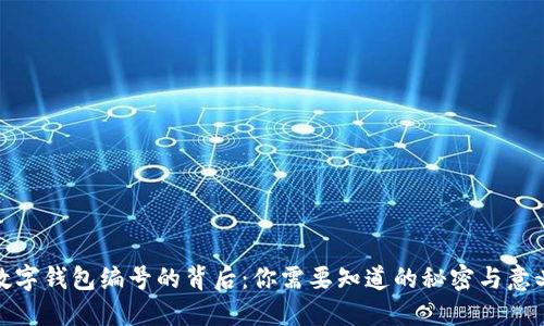 数字钱包编号的背后:你需要知道的秘密与意义