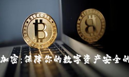钱包界面加密:保障你的数字资产安全的终极指南