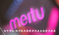 电子钱包：银行级加密技术的未来趋势