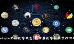 探索Potato里的数字钱包：如何在数字时