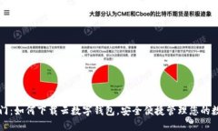 快速入门：如何下载云数字钱包，安全