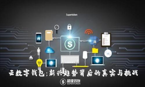 云数字钱包:新兴趋势背后的真实与挑战