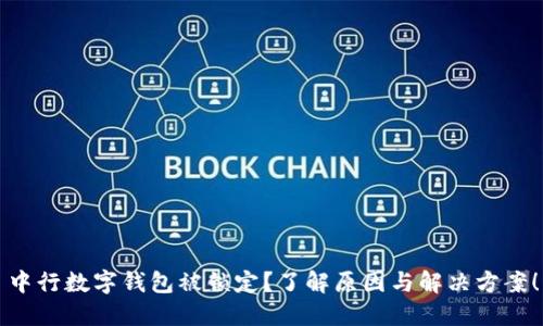 中行数字钱包被锁定?了解原因与解决方案!