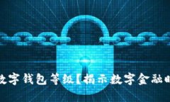 如何判断你的数字钱包等级？揭示数字