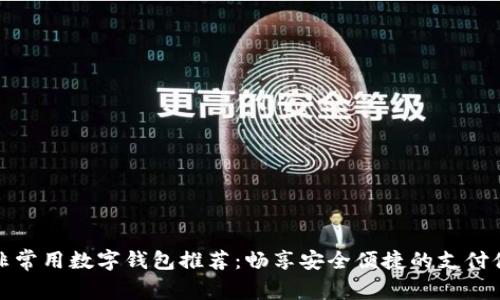 南非常用数字钱包推荐:畅享安全便捷的支付体验