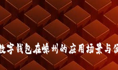 探讨数字钱包在嵊州的应用场景与便利性