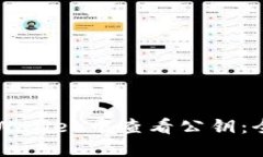 如何在TPWallet中查看公钥：全方位指南