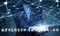 数字钱包预算管理：掌握钱包中的每一