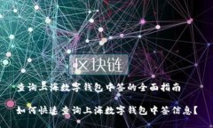 查询上海数字钱包中签的全面指南如何