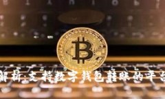 全面解析：支持数字钱包转账的平台推