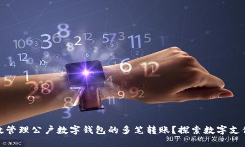 如何高效管理公户数字钱包的多笔转账?探索数字支付新趋势