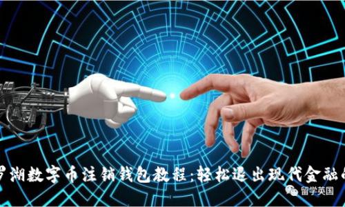 深圳罗湖数字币注销钱包教程:轻松退出现代金融的选择