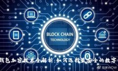 数字钱包加密技术全解析：如何选择最