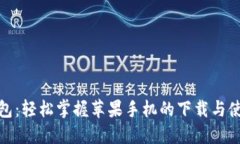数字钱包：轻松掌握苹果手机的下载与