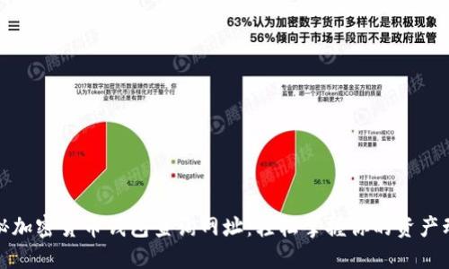 探秘加密货币钱包查询网址：轻松掌握你的资产动态