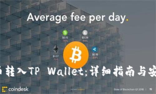 如何将FIL币转入TP Wallet：详细指南与安全注意事项