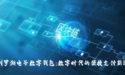 深圳罗湖电子数字钱包：数字时代的便捷支付新选择
