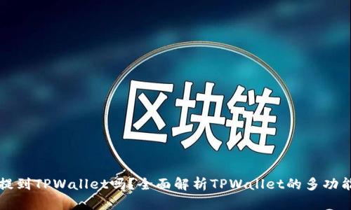 任何币都可以提到TPWallet吗？全面解析TPWallet的多功能性与应用场景