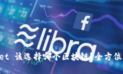 提币到 TPWallet 该选择哪个区块链？全方位解析与趋势分析