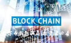 揭穿数字币钱包骗局：投资者必看指南