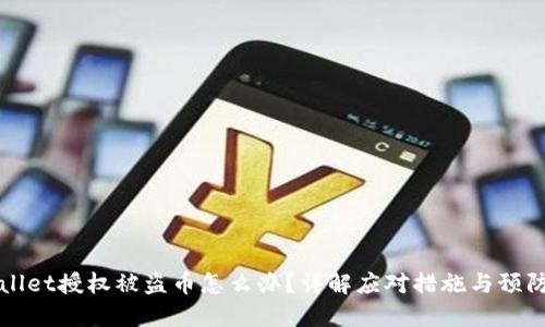 TPWallet授权被盗币怎么办?详解应对措施与预防技巧