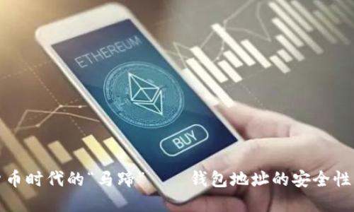 数字货币时代的“马蹄”——钱包地址的安全性与管理