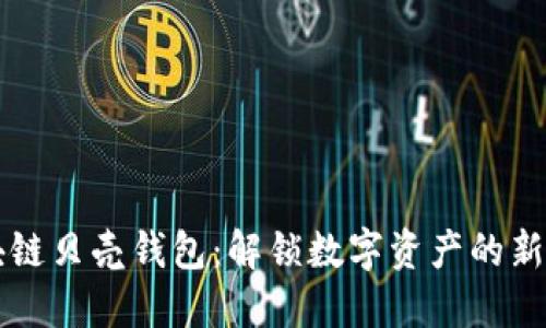 区块链贝壳钱包:解锁数字资产的新纪元