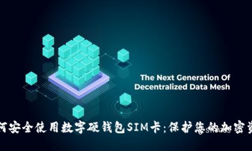 如何安全使用数字硬钱包SIM卡:保护您的加密资产