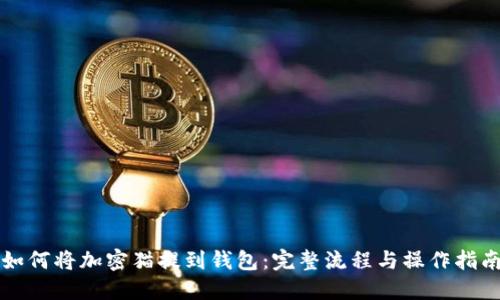如何将加密猫提到钱包:完整流程与操作指南