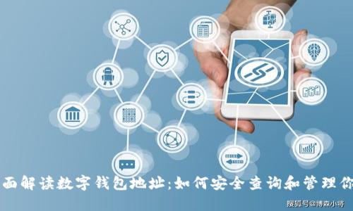题目全面解读数字钱包地址：如何安全查询和管理你的资产