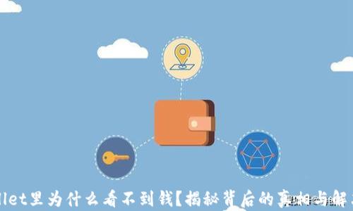 
TPWallet里为什么看不到钱？揭秘背后的真相与解决方案
