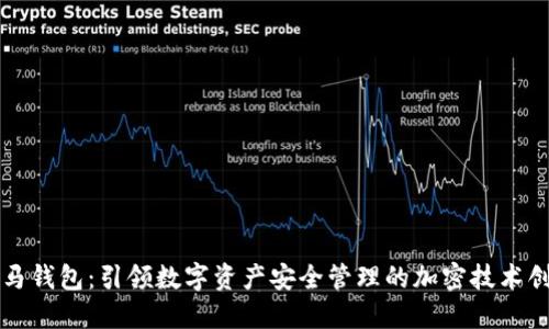 小马钱包：引领数字资产安全管理的加密技术创新