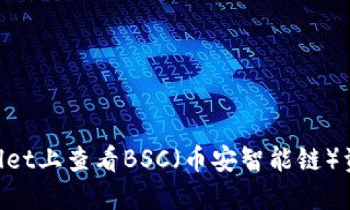如何在TPWallet上查看BSC(币安智能链)资产:终极指南