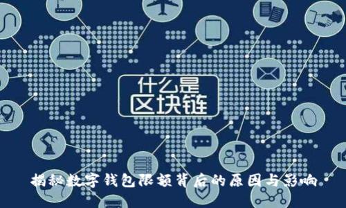 揭秘数字钱包限额背后的原因与影响
