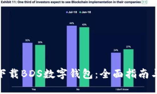 如何安全下载BDS数字钱包：全面指南与操作步骤