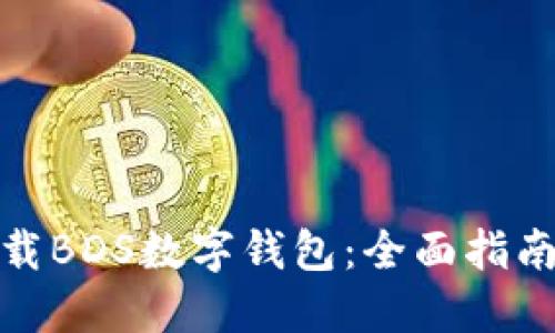 如何安全下载BDS数字钱包：全面指南与操作步骤