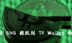 如何选择 BNB 提现到 TP Wallet 的最佳链