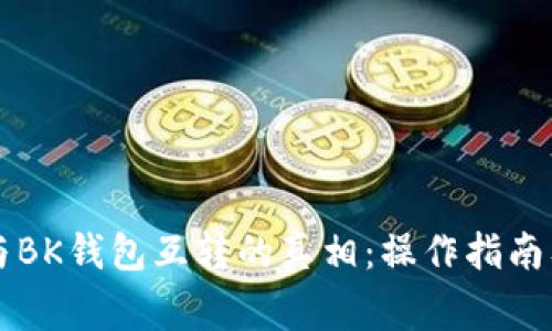 TPWallet与BK钱包互转的真相：操作指南及注意事项